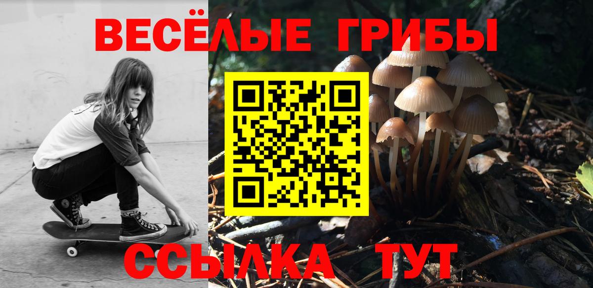Салехард  Галлюциногенные грибы GOLDEN TEACHER  Галлюциногенные грибы Psilocybe  Вход с VPN 