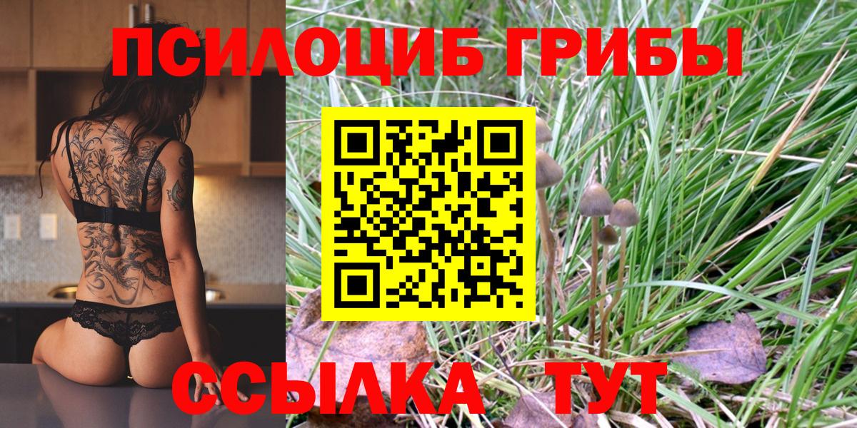 Псилоцибиновые грибы Psilocybine cubensis Салехард